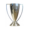 Copa USL